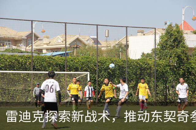雷迪克探索新战术，推动东契奇参与无球进攻