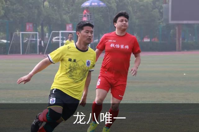 龙八唯一公司简介